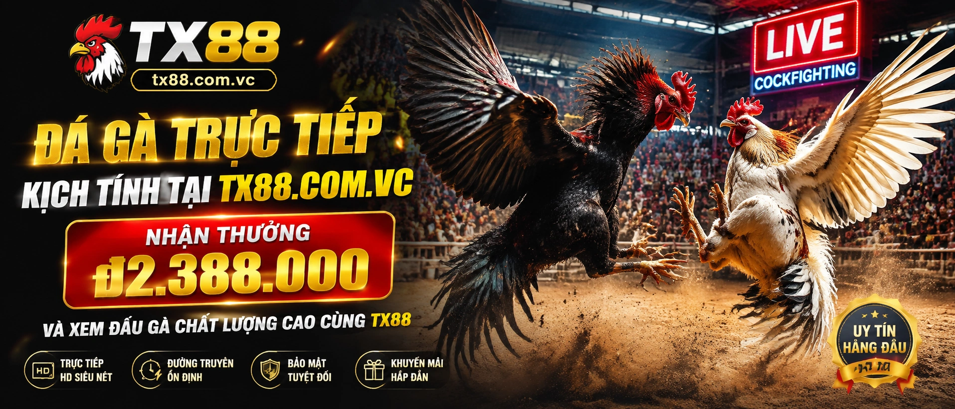Không gian xem Đá Gà trực tiếp trên tx88.com.vc