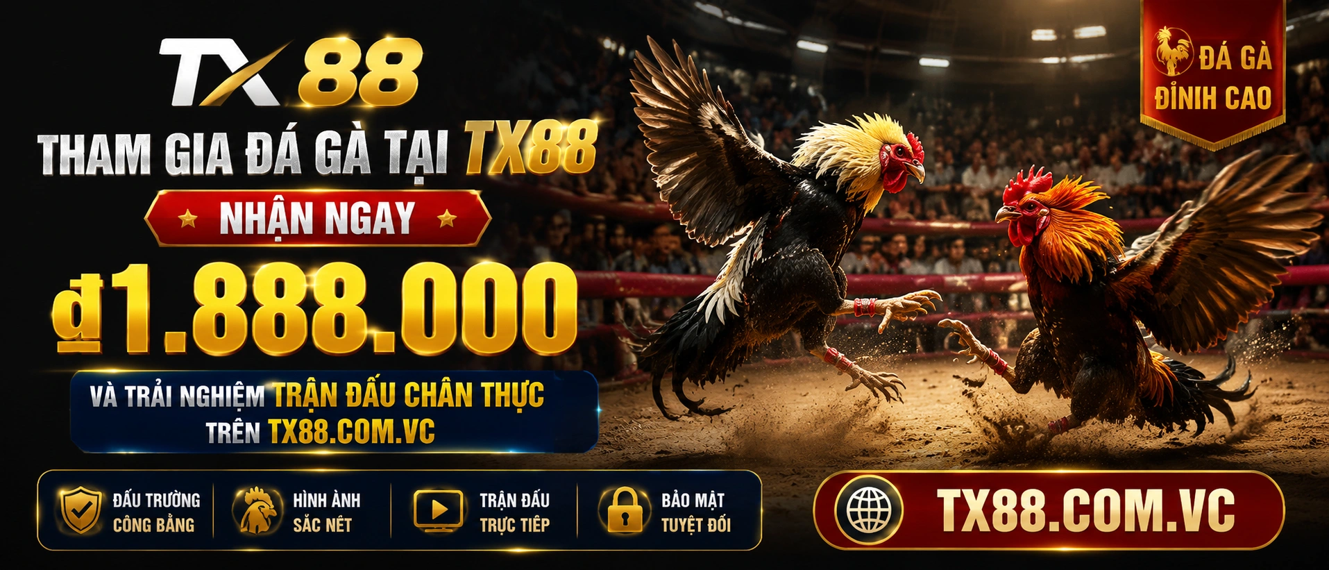 Danh mục Đá Gà Campuchia và cựa sắt trên tx88.com.vc